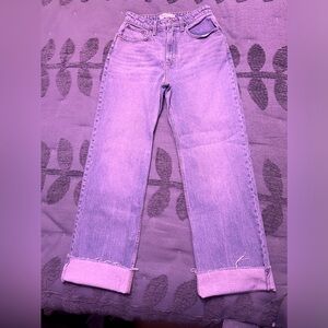 Abercrombie & Fitch NEW 90s Relaxed Jean High Rise Sz 26 2L Curvy Love